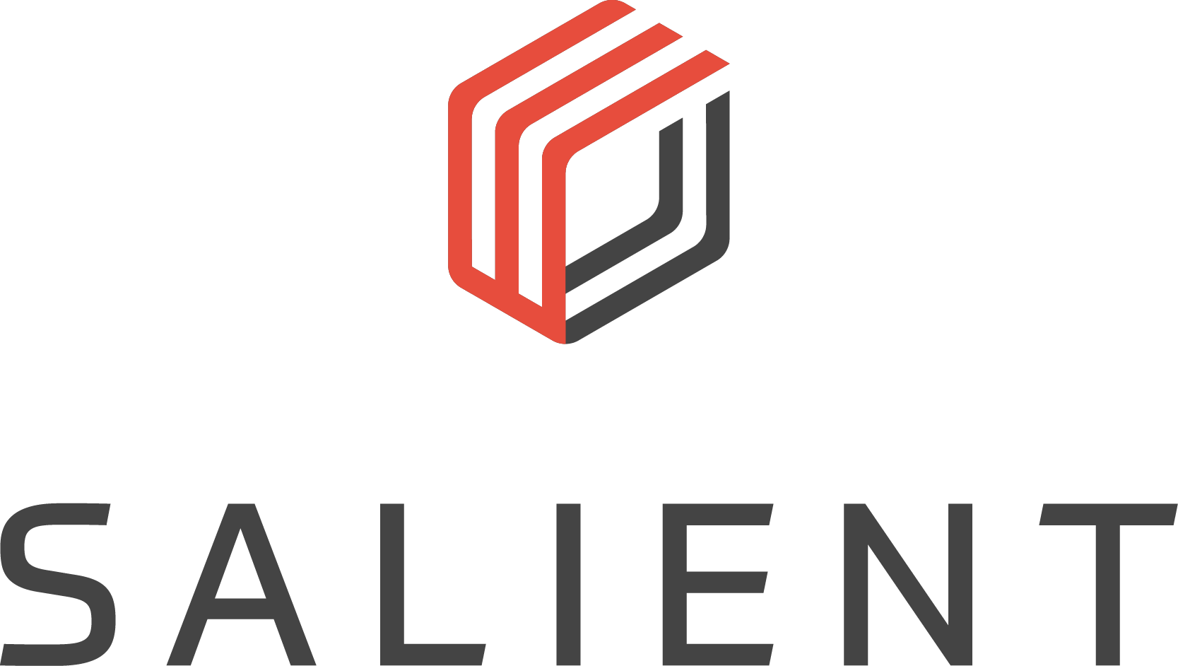 Salient CompleteView logo